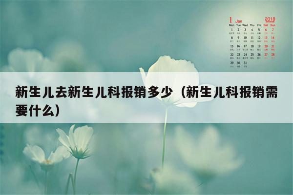 新生儿去新生儿科报销多少（新生儿科报销需要什么）