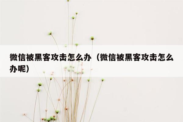 微信被黑客攻击怎么办（微信被黑客攻击怎么办呢）