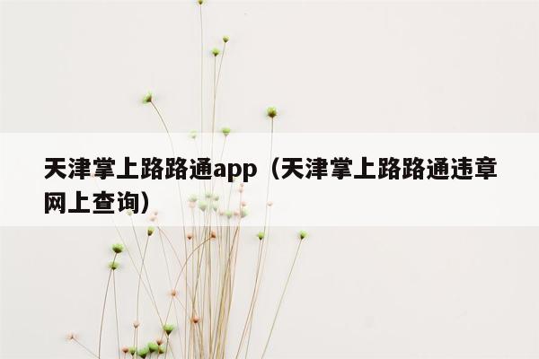 天津掌上路路通app（天津掌上路路通违章网上查询）