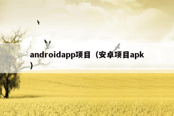 androidapp项目（安卓项目apk）