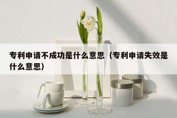 专利申请不成功是什么意思（专利申请失效是什么意思）