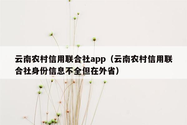 云南农村信用联合社app（云南农村信用联合社身份信息不全但在外省）