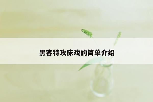 黑客特攻床戏的简单介绍