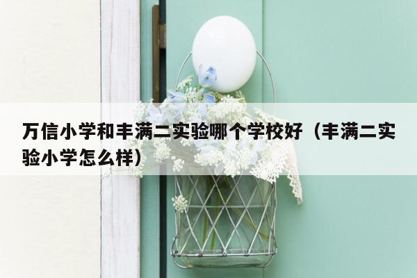 万信小学和丰满二实验哪个学校好（丰满二实验小学怎么样）