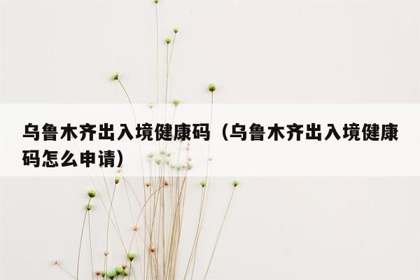 乌鲁木齐出入境健康码（乌鲁木齐出入境健康码怎么申请）