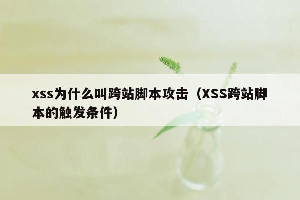 xss为什么叫跨站脚本攻击（XSS跨站脚本的触发条件）