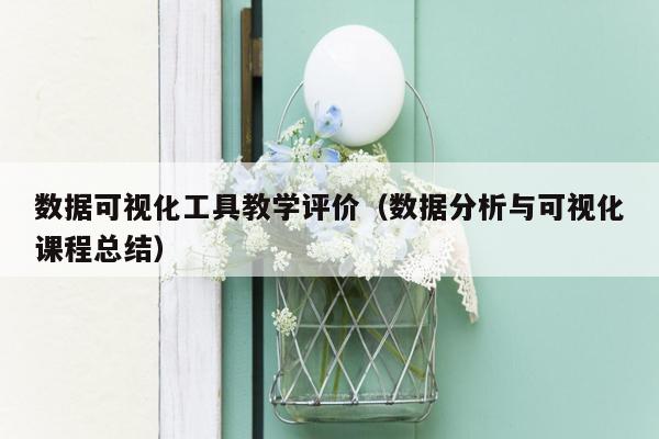 数据可视化工具教学评价（数据分析与可视化课程总结）