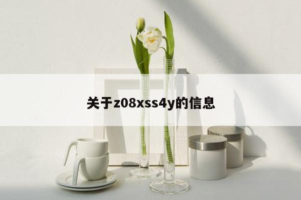 关于z08xss4y的信息