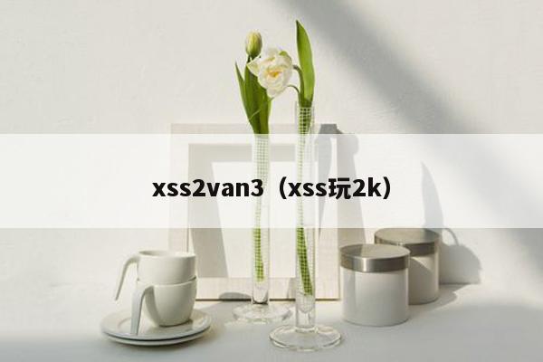 xss2van3（xss玩2k）