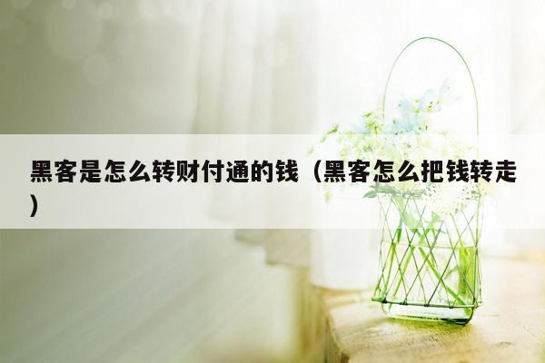 黑客是怎么转财付通的钱（黑客怎么把钱转走）