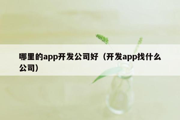 哪里的app开发公司好（开发app找什么公司）