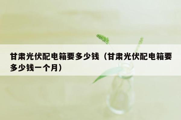 甘肃光伏配电箱要多少钱（甘肃光伏配电箱要多少钱一个月）