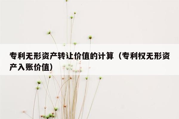 专利无形资产转让价值的计算（专利权无形资产入账价值）