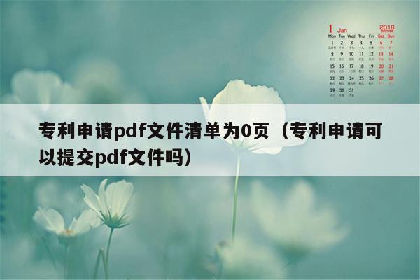 专利申请pdf文件清单为0页（专利申请可以提交pdf文件吗）