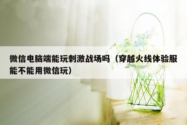 微信电脑端能玩刺激战场吗（穿越火线体验服能不能用微信玩）