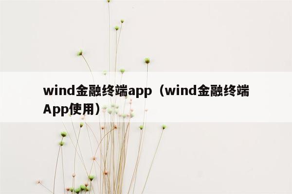 wind金融终端app（wind金融终端App使用）