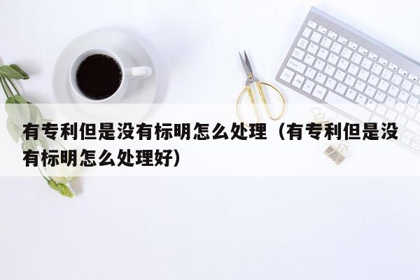 有专利但是没有标明怎么处理（有专利但是没有标明怎么处理好）