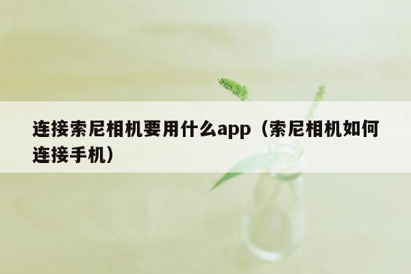 连接索尼相机要用什么app（索尼相机如何连接手机）