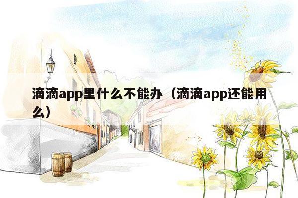 滴滴app里什么不能办（滴滴app还能用么）