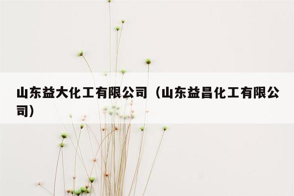 山东益大化工有限公司（山东益昌化工有限公司）