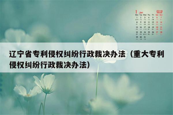 辽宁省专利侵权纠纷行政裁决办法（重大专利侵权纠纷行政裁决办法）