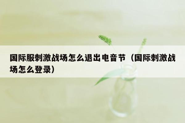 国际服刺激战场怎么退出电音节（国际刺激战场怎么登录）