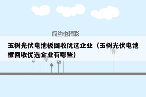 玉树光伏电池板回收优选企业（玉树光伏电池板回收优选企业有哪些）