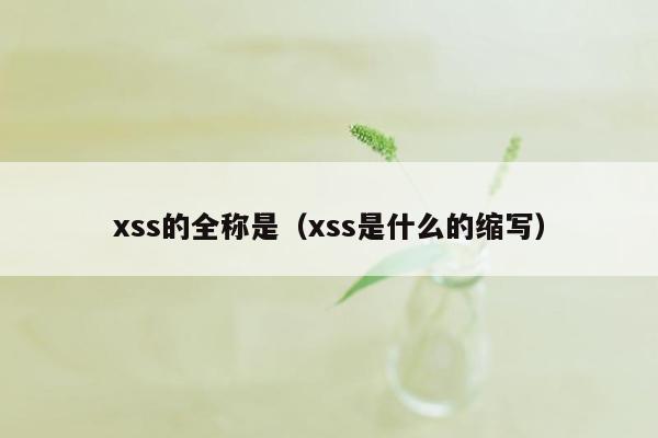 xss的全称是（xss是什么的缩写）