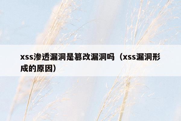 xss渗透漏洞是篡改漏洞吗（xss漏洞形成的原因）