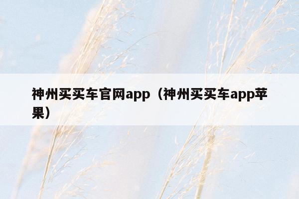 神州买买车官网app（神州买买车app苹果）