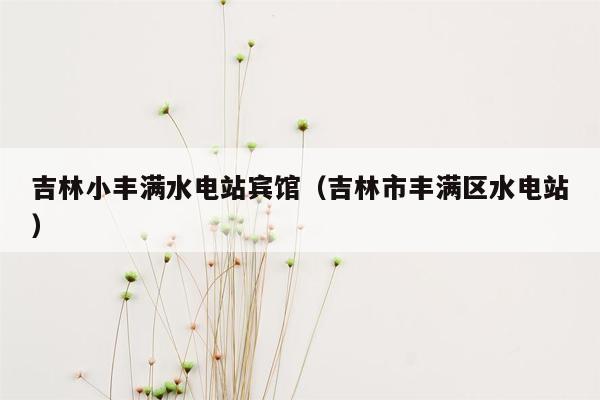 吉林小丰满水电站宾馆（吉林市丰满区水电站）