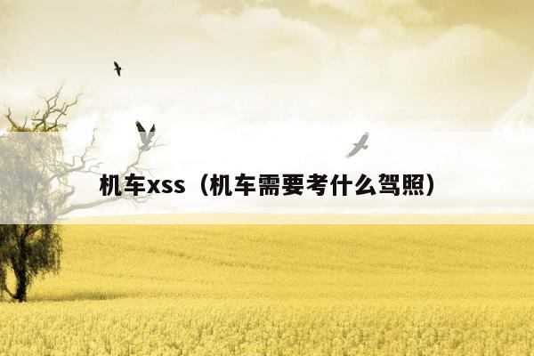 机车xss（机车需要考什么驾照）