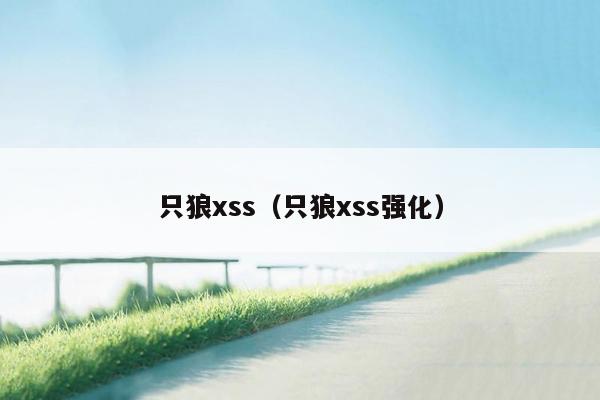 只狼xss（只狼xss强化）