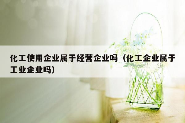 化工使用企业属于经营企业吗（化工企业属于工业企业吗）