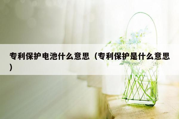 专利保护电池什么意思（专利保护是什么意思）