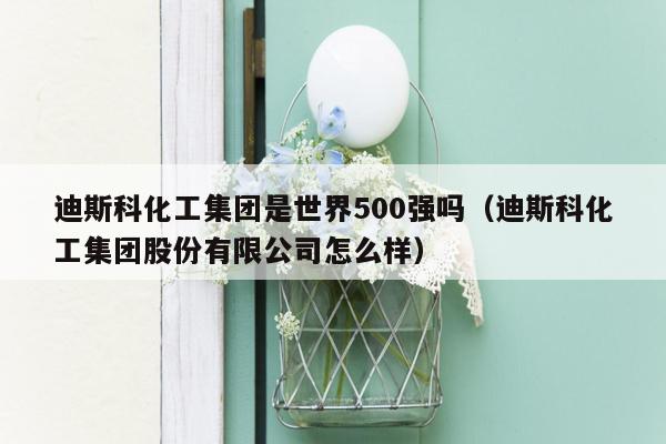 迪斯科化工集团是世界500强吗（迪斯科化工集团股份有限公司怎么样）