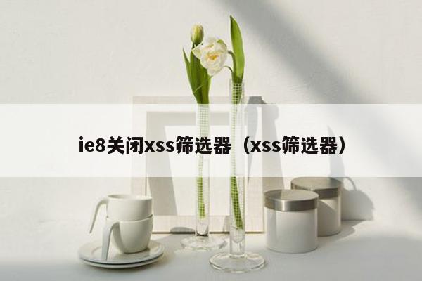 ie8关闭xss筛选器（xss筛选器）