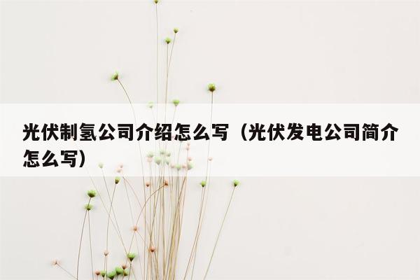 光伏制氢公司介绍怎么写（光伏发电公司简介怎么写）