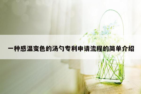 一种感温变色的汤勺专利申请流程的简单介绍