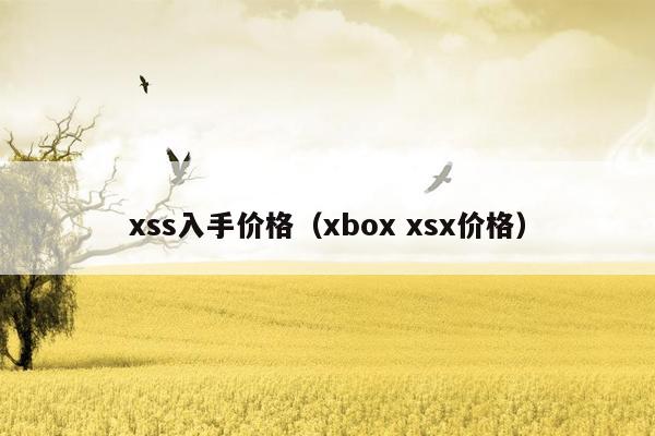 xss入手价格（xbox xsx价格）