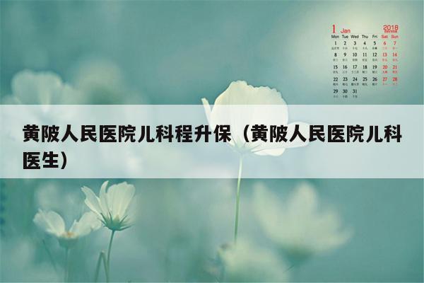 黄陂人民医院儿科程升保（黄陂人民医院儿科医生）