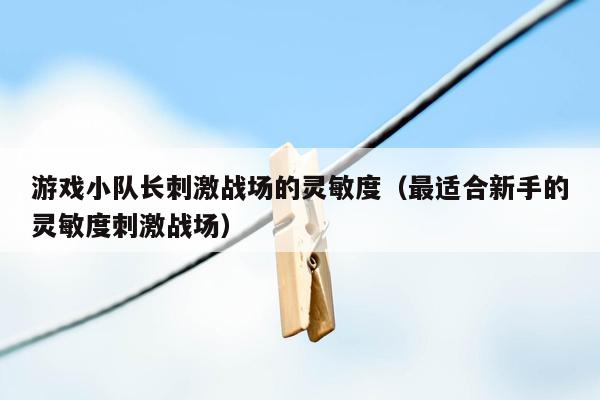 游戏小队长刺激战场的灵敏度（最适合新手的灵敏度刺激战场）