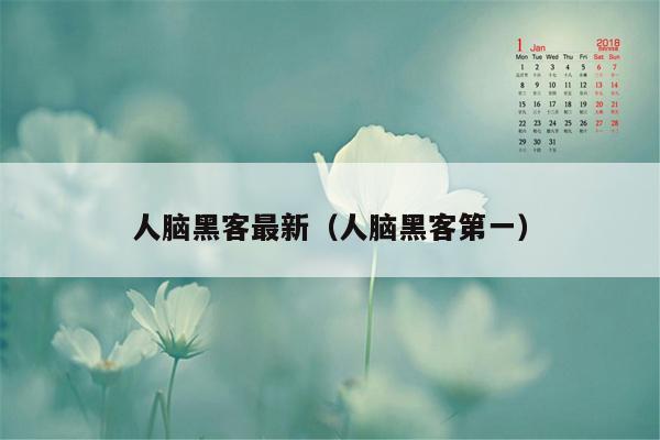 人脑黑客最新（人脑黑客第一）