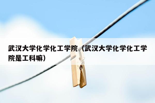 武汉大学化学化工学院（武汉大学化学化工学院是工科嘛）