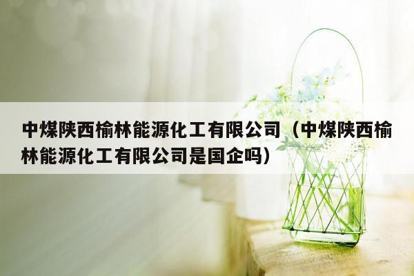 中煤陕西榆林能源化工有限公司（中煤陕西榆林能源化工有限公司是国企吗）