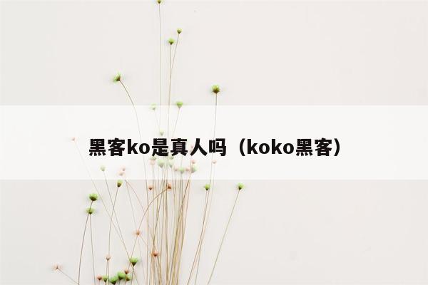 黑客ko是真人吗（koko黑客）