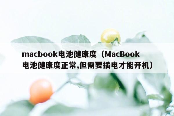 macbook电池健康度（MacBook电池健康度正常,但需要插电才能开机）