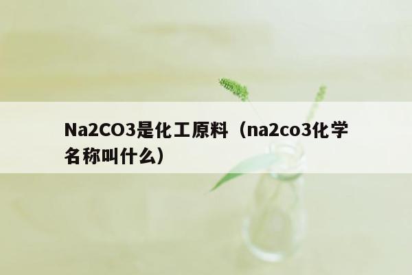 Na2CO3是化工原料（na2co3化学名称叫什么）