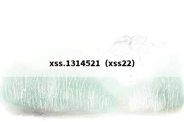 xss.1314521（xss22）