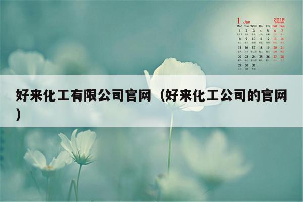 好来化工有限公司官网（好来化工公司的官网）